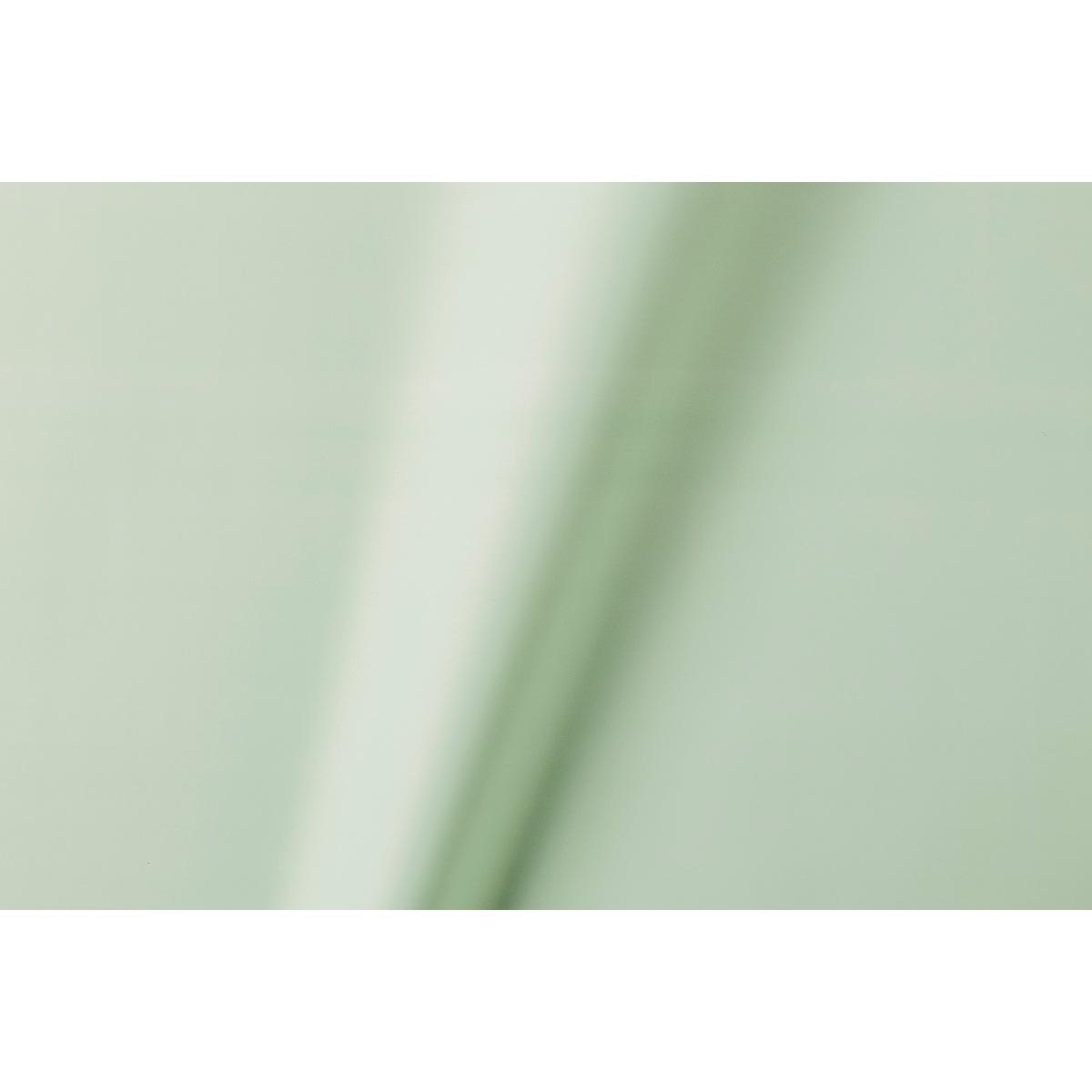50 Buste perlate new perla colore verde menta  35 x 50