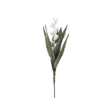Aloe flower bianco cm Ø 23x93 min 10
