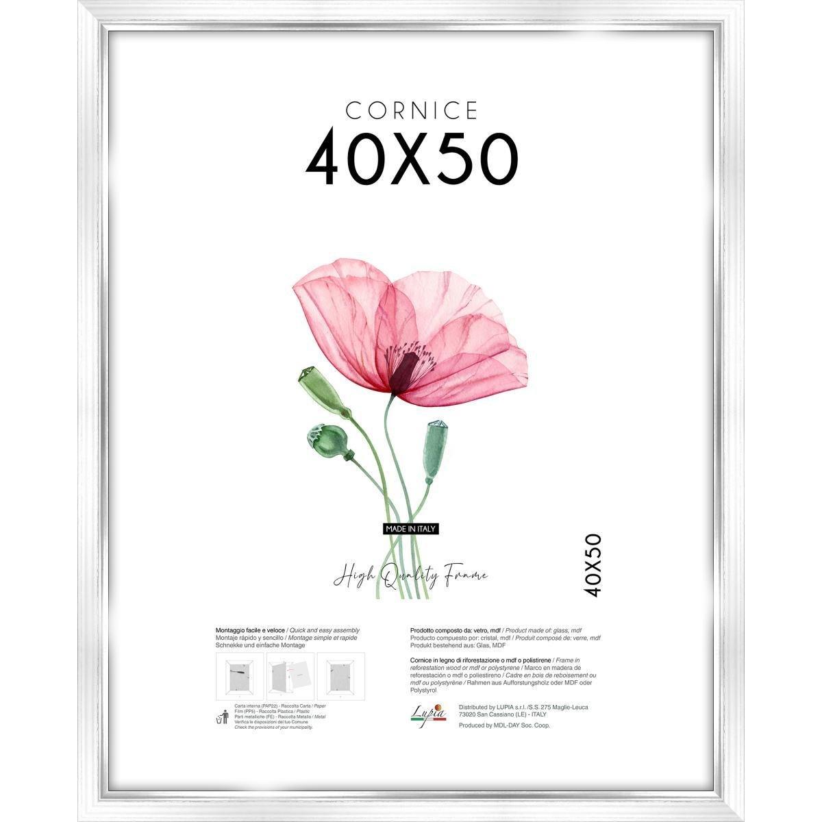 Cornice portafoto White Silver 40x50 cm Lupia