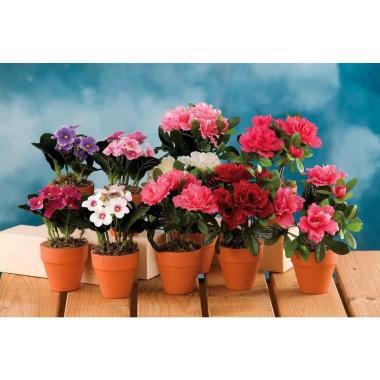 Vaso fiori az/prim a6c d12xh18